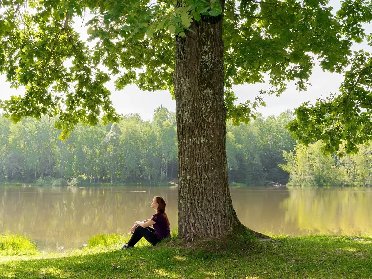 Woman meditating peacefully beneath a large oak tree